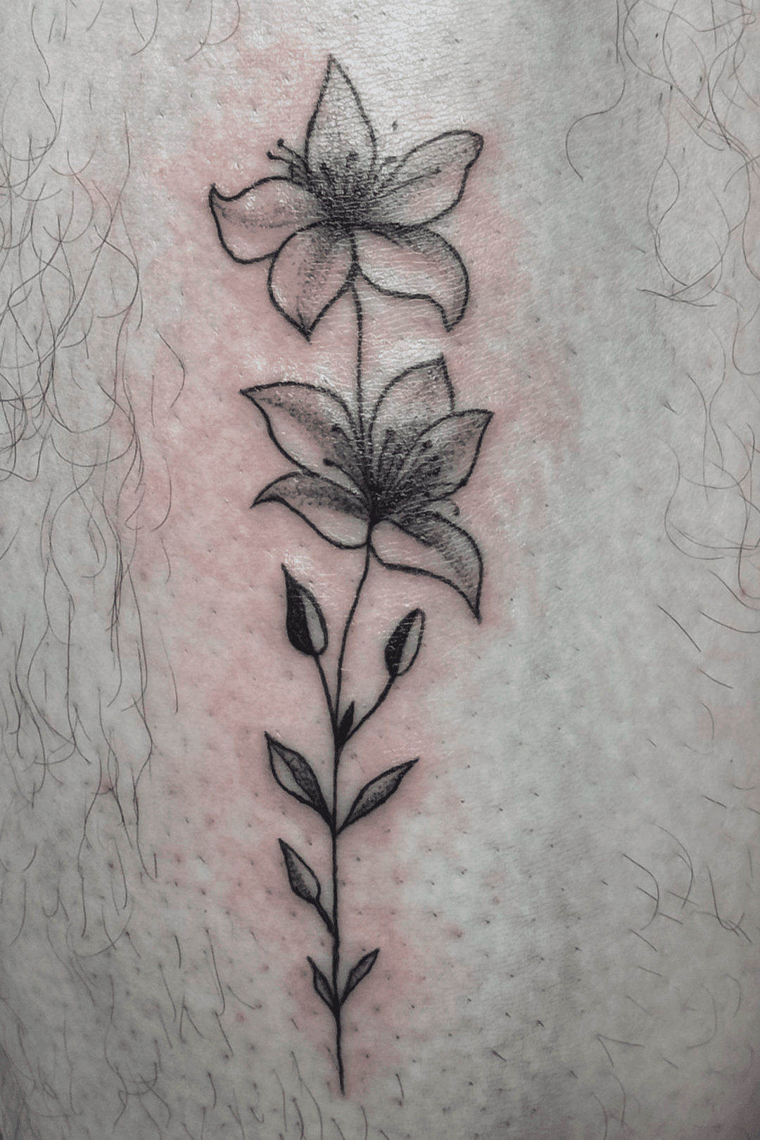 Ultra-detailed Still Life